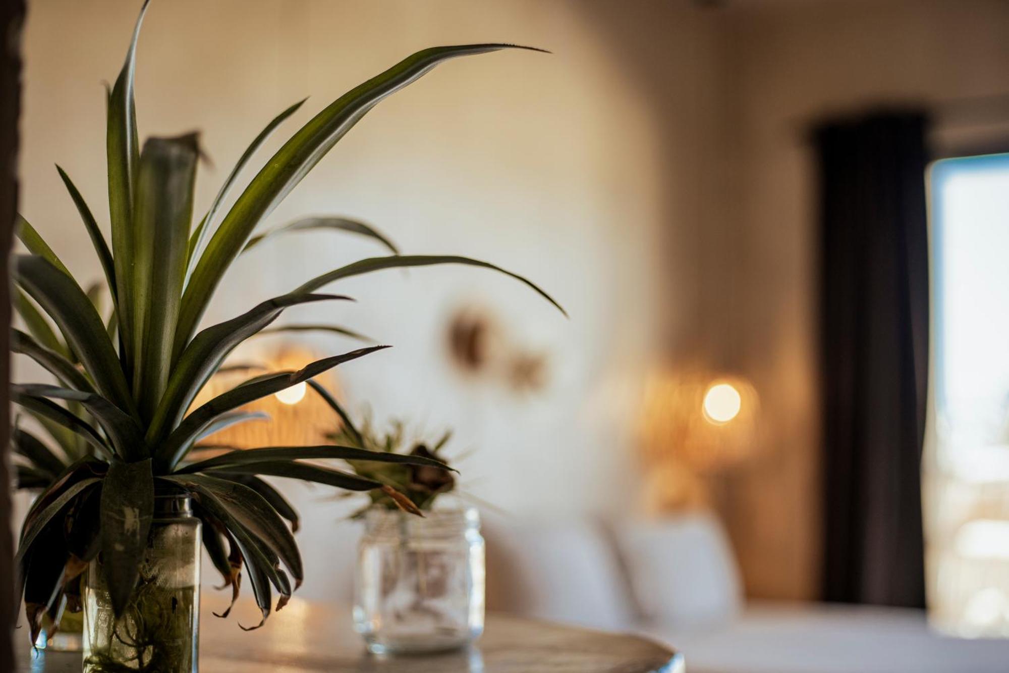 Baja Temple Hotell Todos Santos Eksteriør bilde